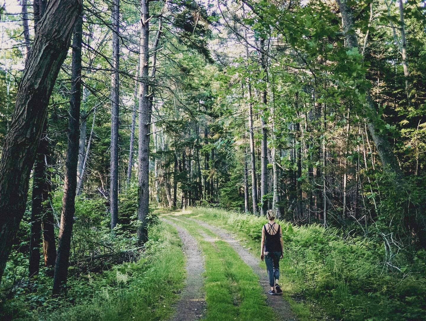 Sharing a few of my favorite shots from our June trip to Kennebunkport and @acadianps.