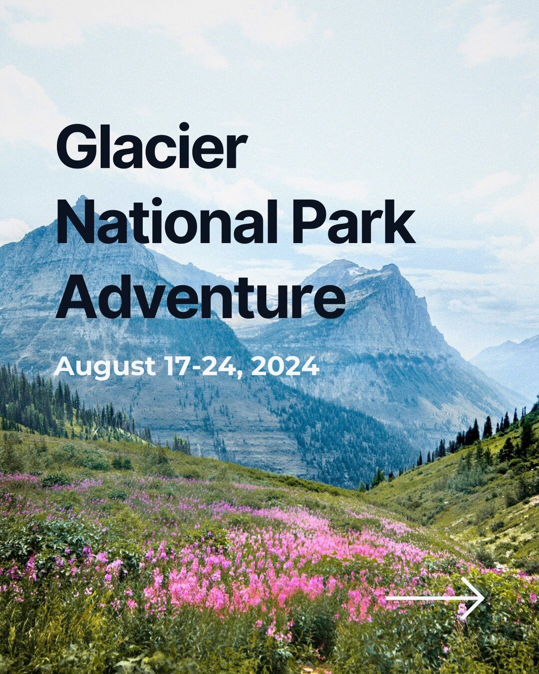 The cat is out of the bag! We're hosting our first group trip to magical Glacier National Park this summer. August 17-24, 2024. 
I'm looking for SIX MORE PEEPS to join me on our inaugural adventure. I see similar small group trips go for $4,000. Thi