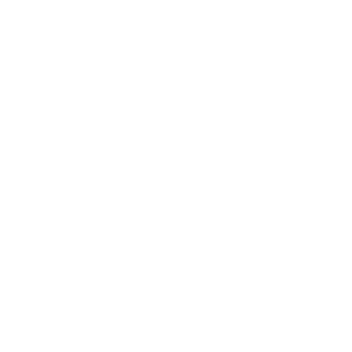 Roam Travel Co.